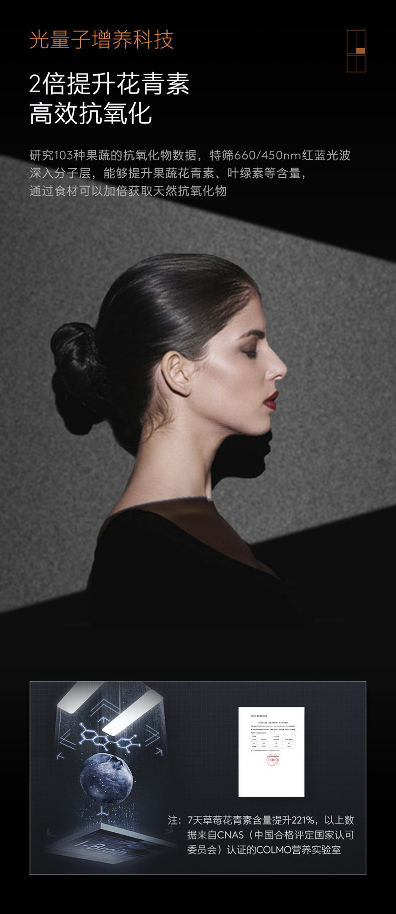 COLMO 冰箱 雪域巖 CRBUS517W-HJ1